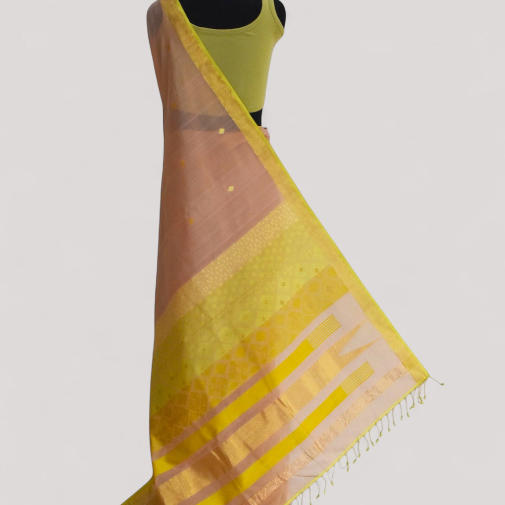 Beige - Kites Motif Organic Cotton Saree