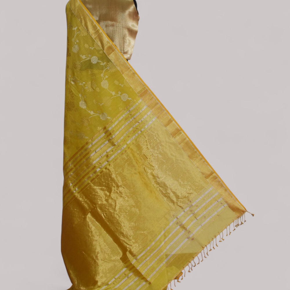 Yellow - Gilded Grove Organic Cotton Saree