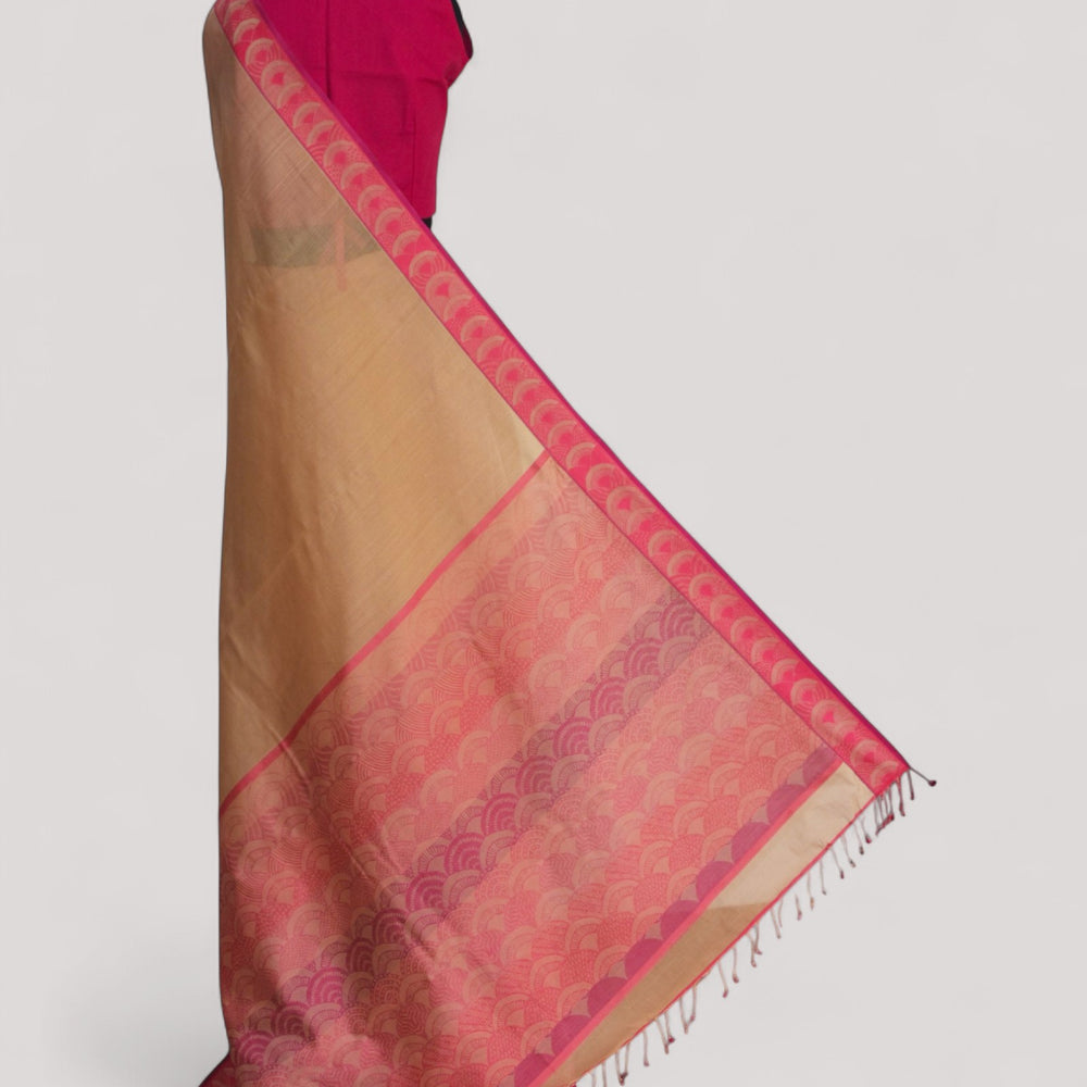 Beige - Arch Motif Organic Cotton Saree