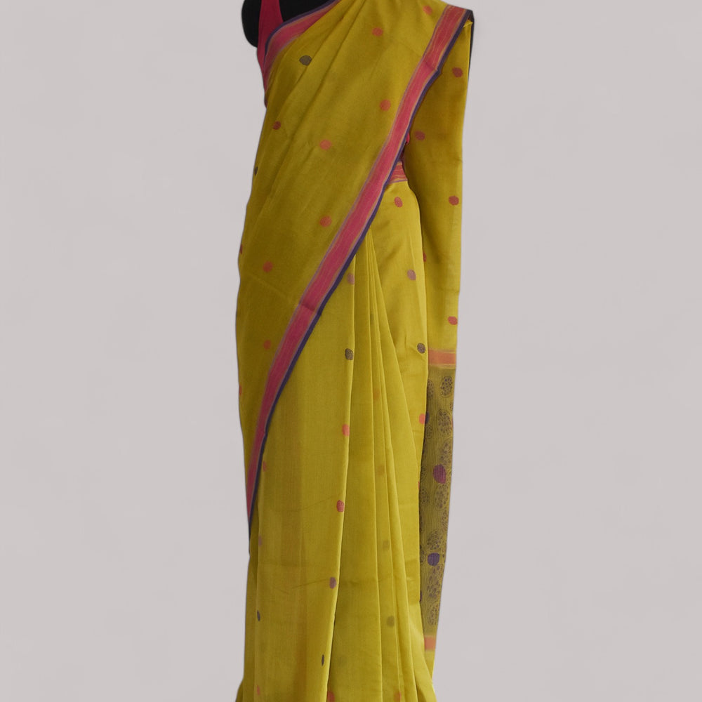 
                      
                        Olive Green - Cactus Motif Organic Cotton Saree
                      
                    