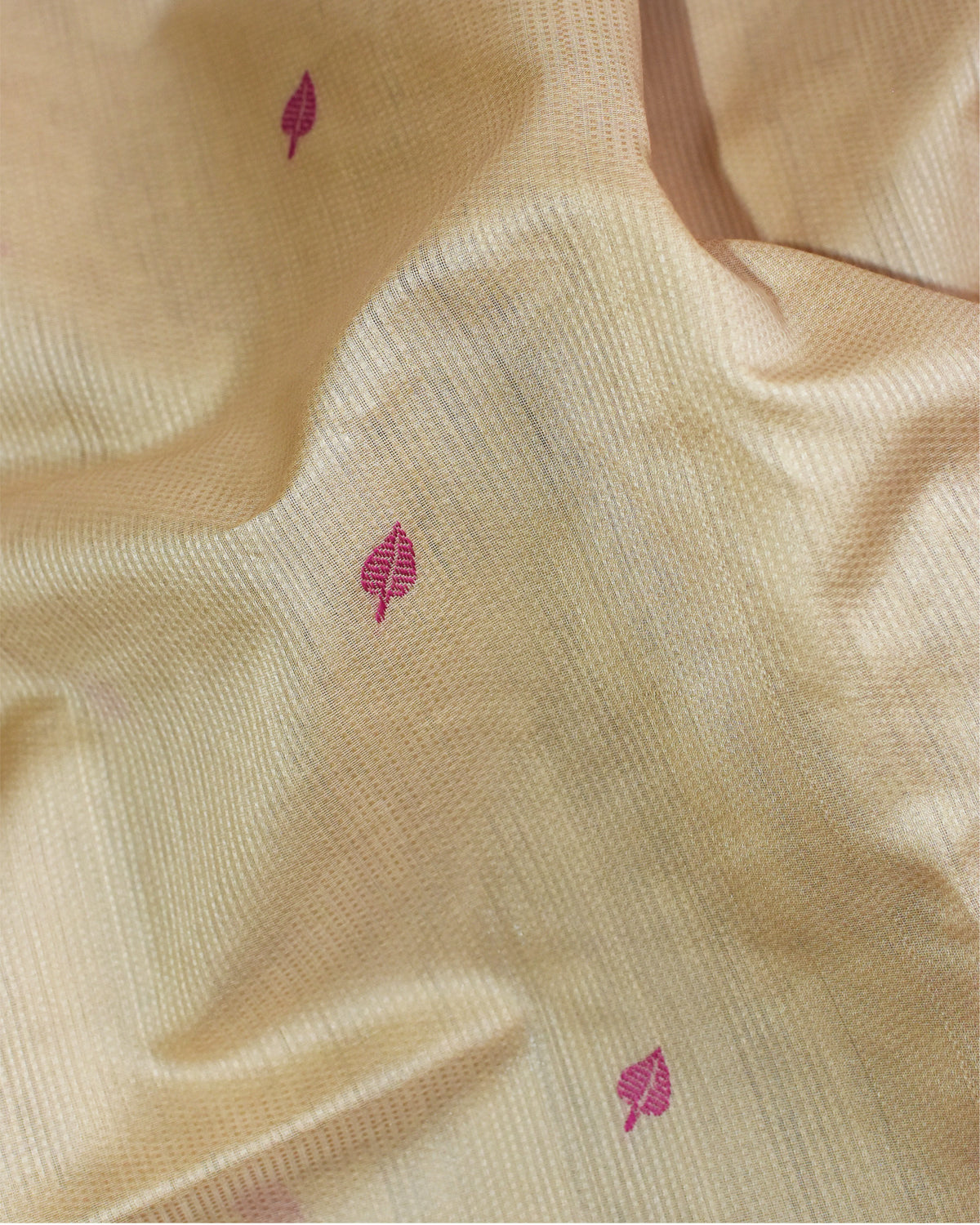 Beige - Tree & Leaves Motif Organic Cotton Saree