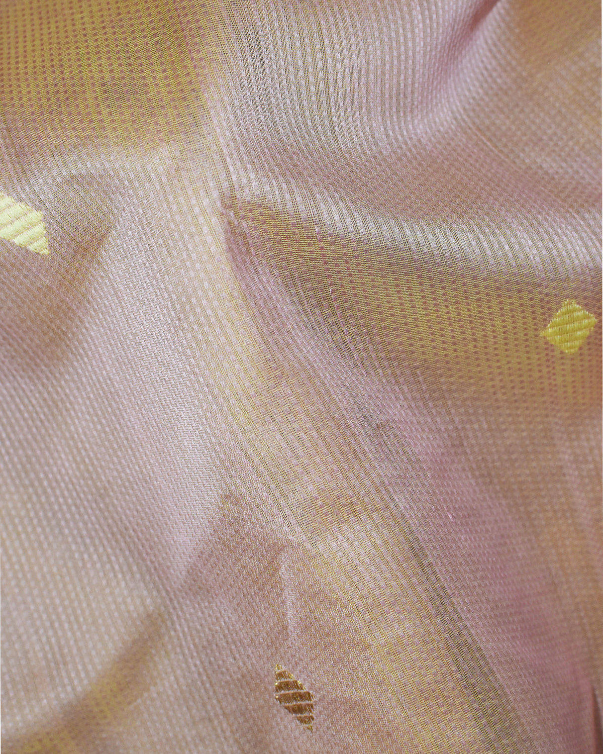 Beige - Kites Motif Organic Cotton Saree
