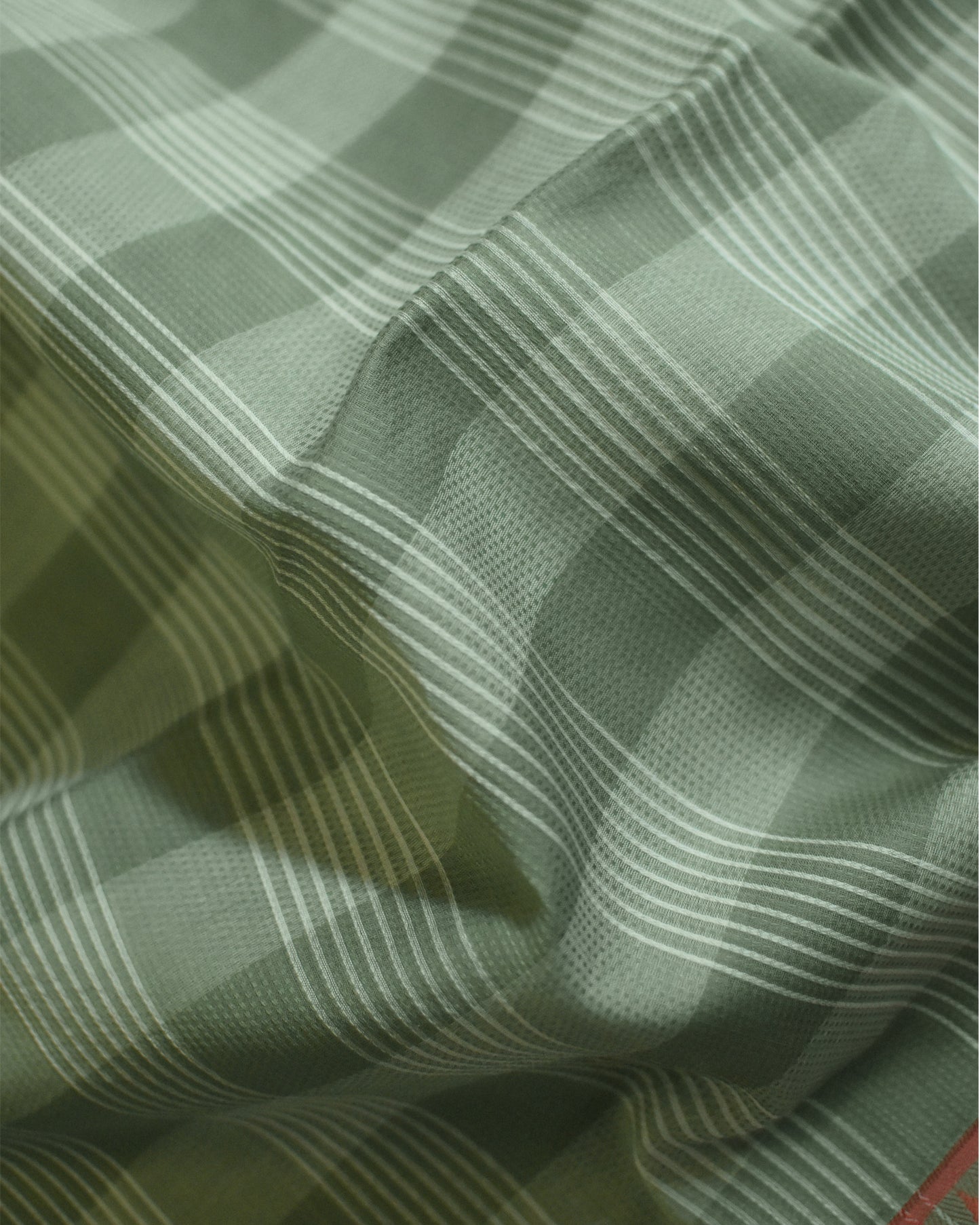 Olive Green - Korvai & Buttas Organic Cotton Saree